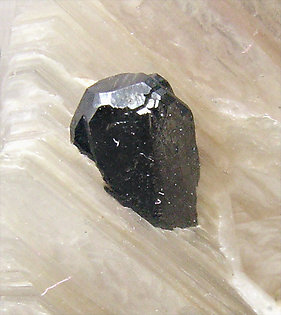 Tantalita-(Mn) con 'lepidolita'. 