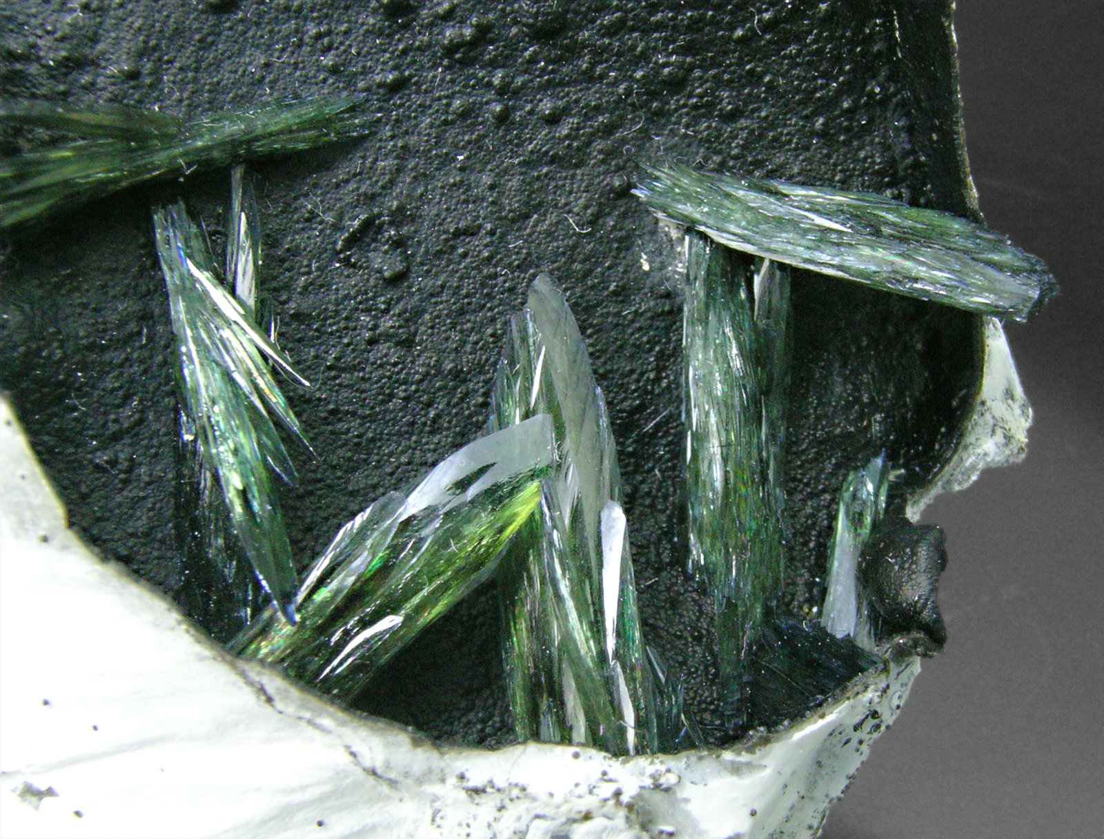 specimens/s_imagesM9/Vivianite-AD46M9d.jpg