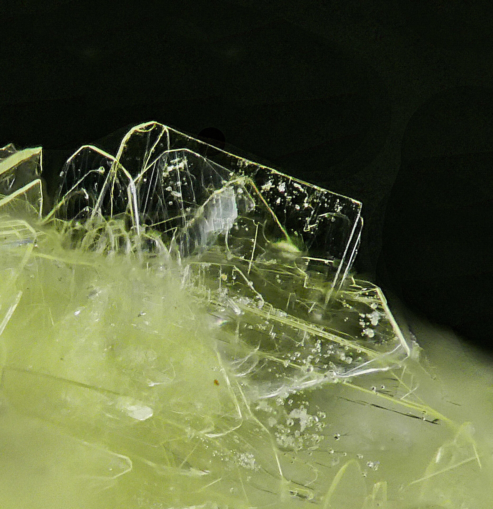specimens/s_imagesMVM/Carlhintzeite-EXR71XXXd2.jpg