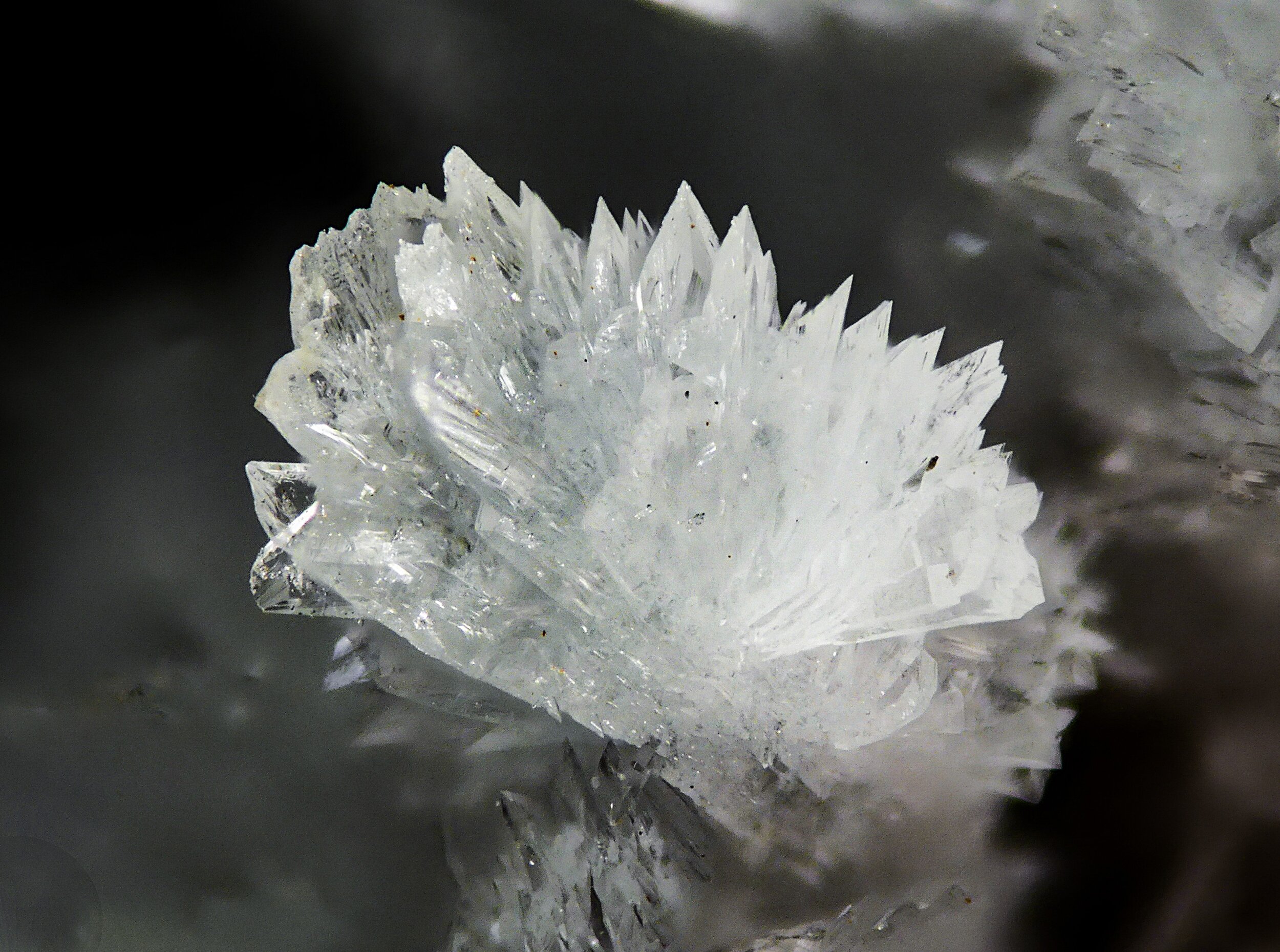 specimens/s_imagesMVM/Carlhintzeite-EXR71XXXd3.jpg