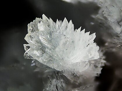Carlhintzeite with Creedite and Gearksutite. Gearksutite / Photo: Borja Sainz de Baranda