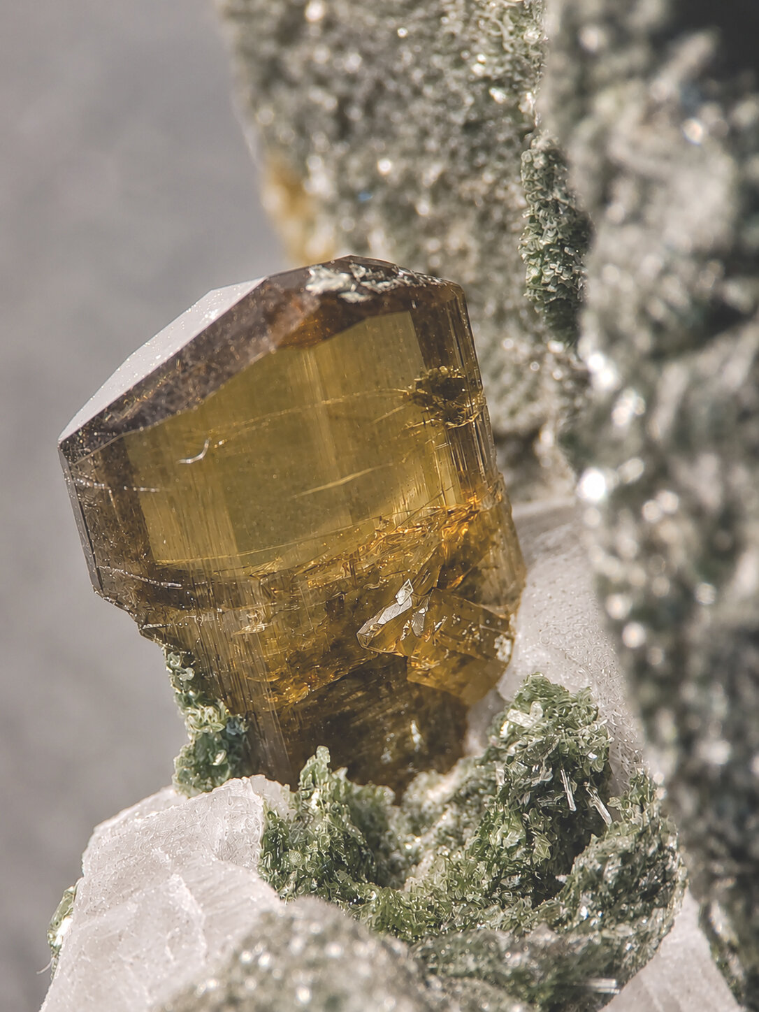 specimens/s_imagesMVM/Clinozoisita-RBM72XXXd.jpg