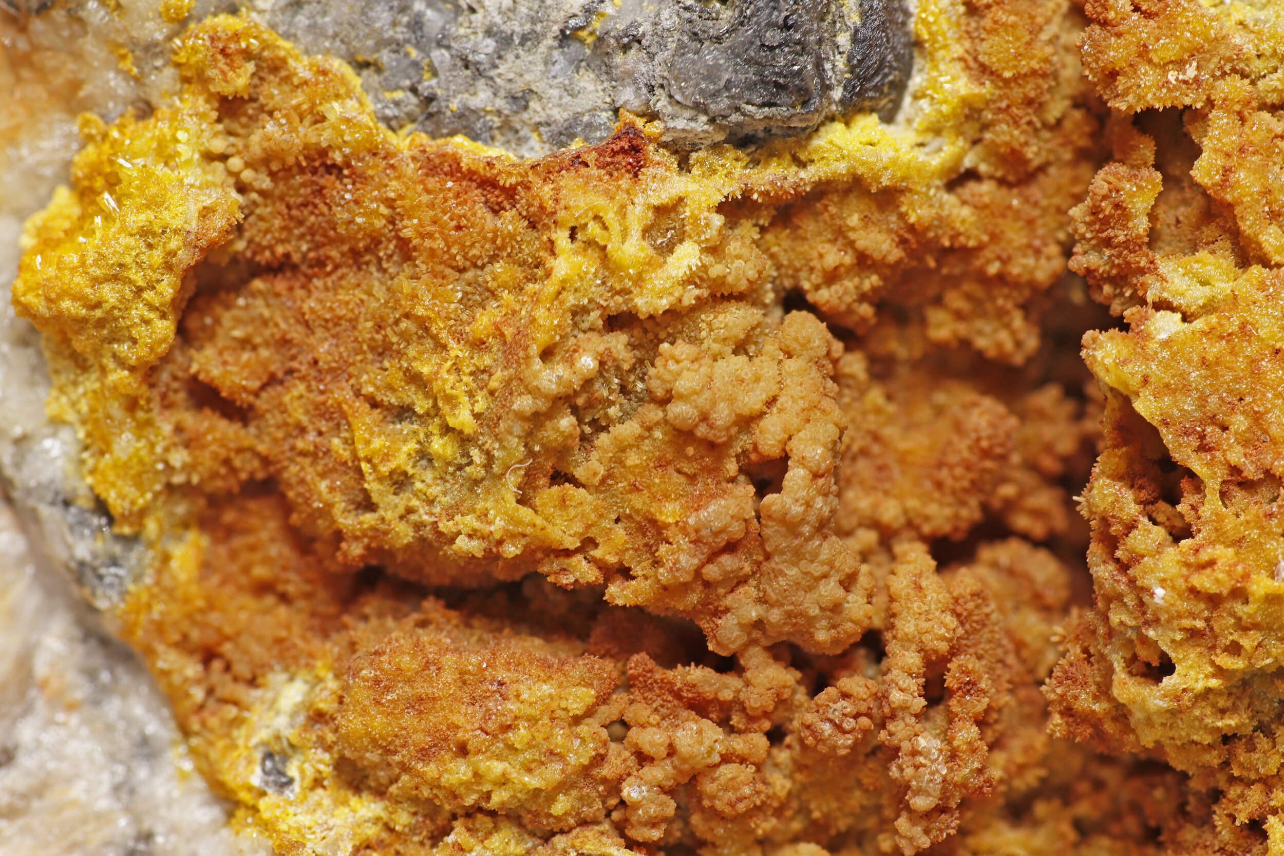 specimens/s_imagesMVM/Vanadinite-TFF45XXXd2.jpg