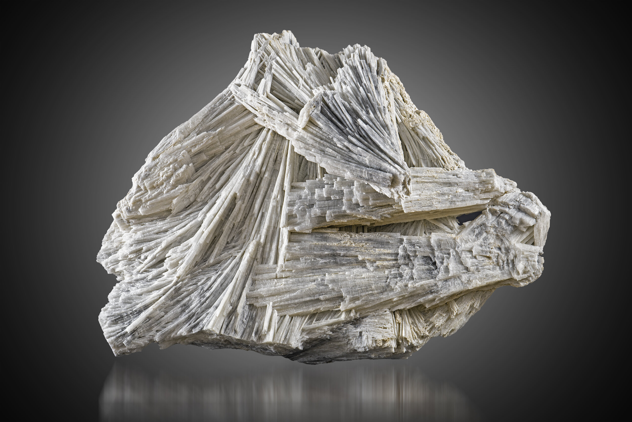 specimens/s_imagesMVM/Wollastonite-EPP86XXXf.jpg