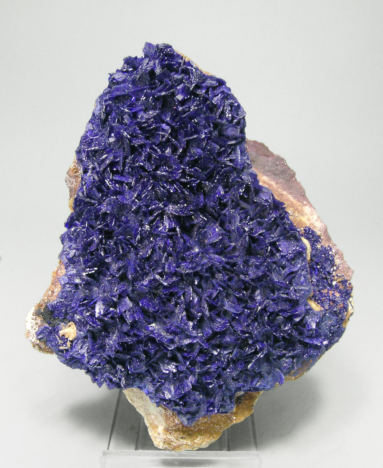 specimens/s_imagesN0/Azurite-TJ27N0f.jpg