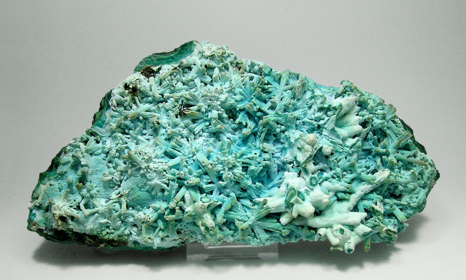 specimens/s_imagesN0/Chrysocolla-TA91N0f.jpg