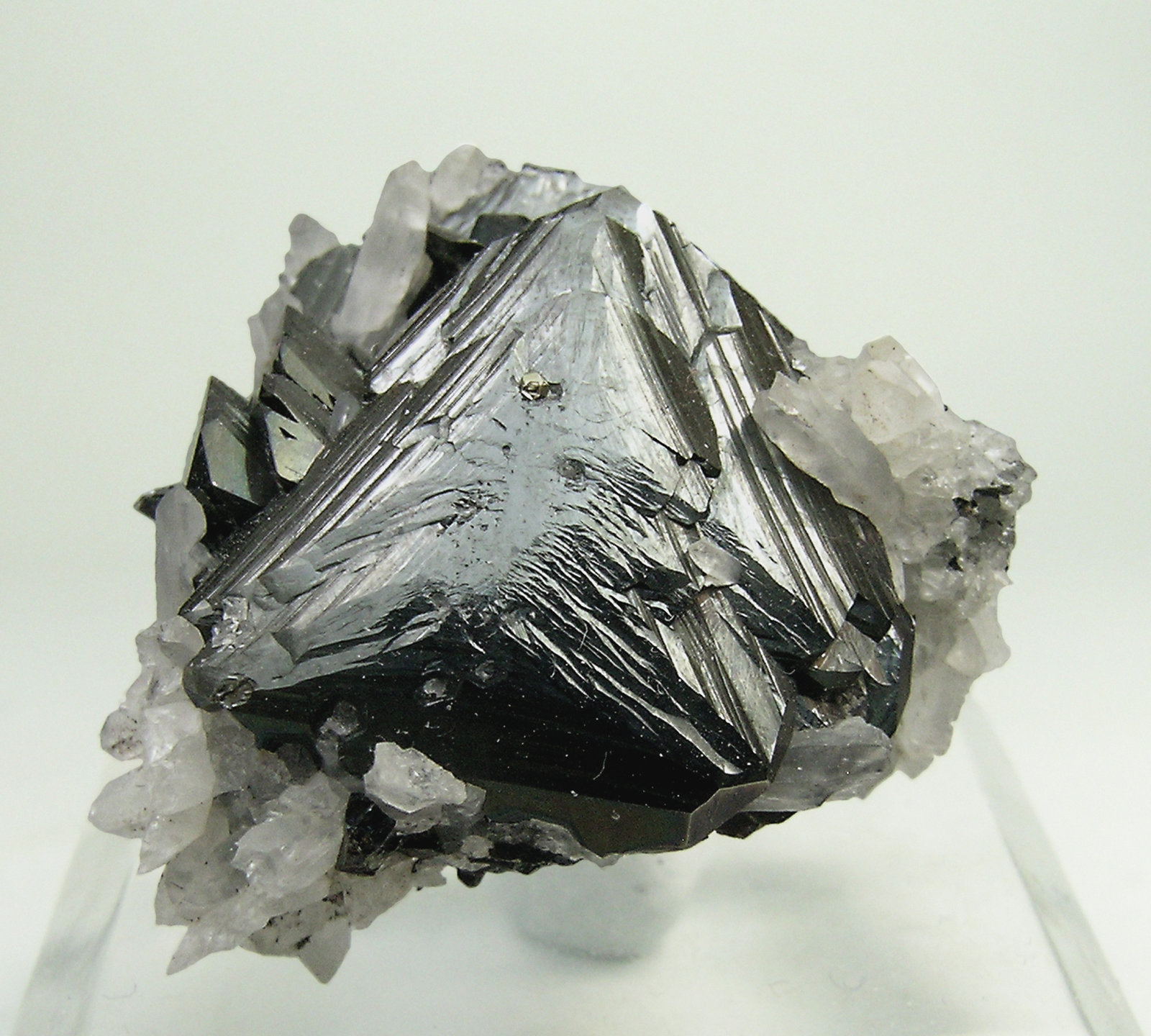 specimens/s_imagesN0/Hematite-TF56N0.jpg