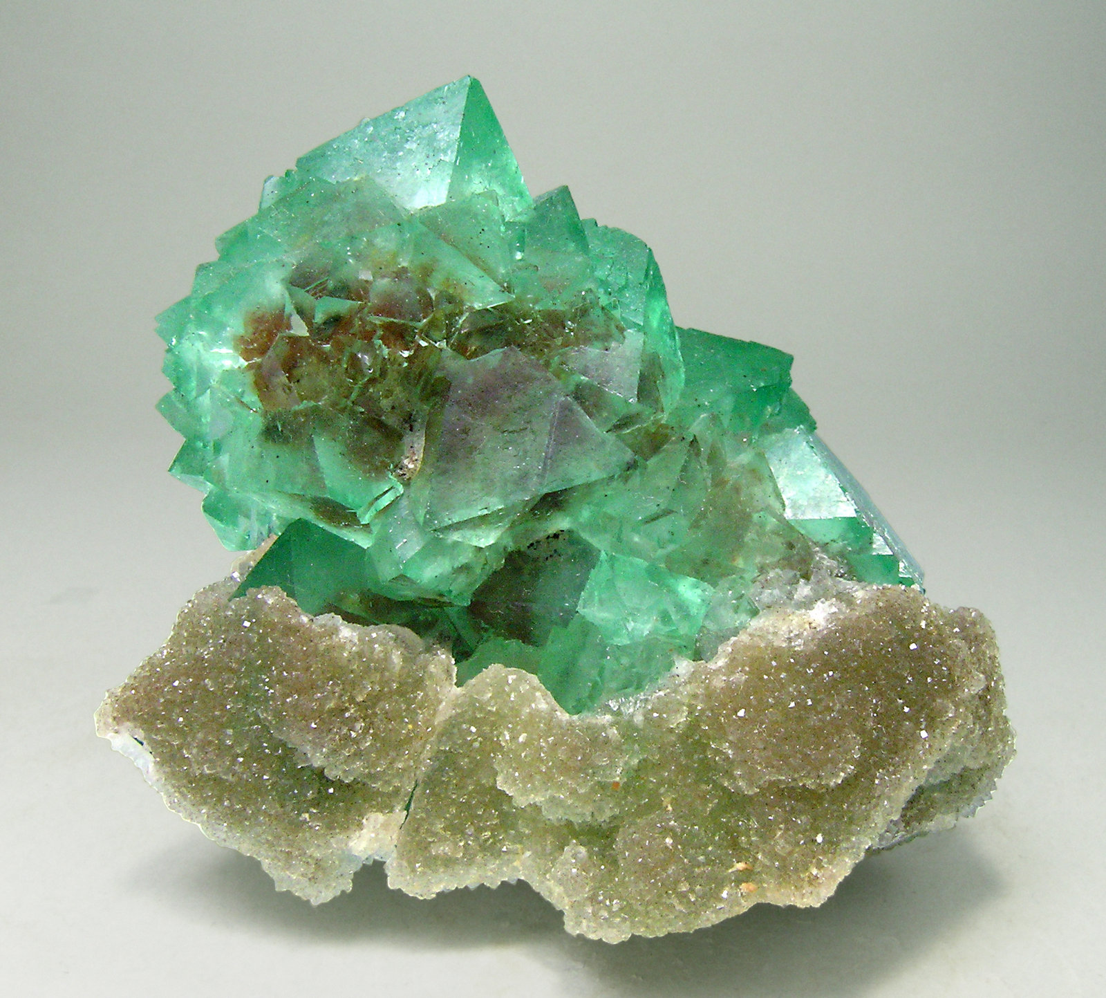specimens/s_imagesN0/Octahedral_Fluorite-TG50N0f.jpg