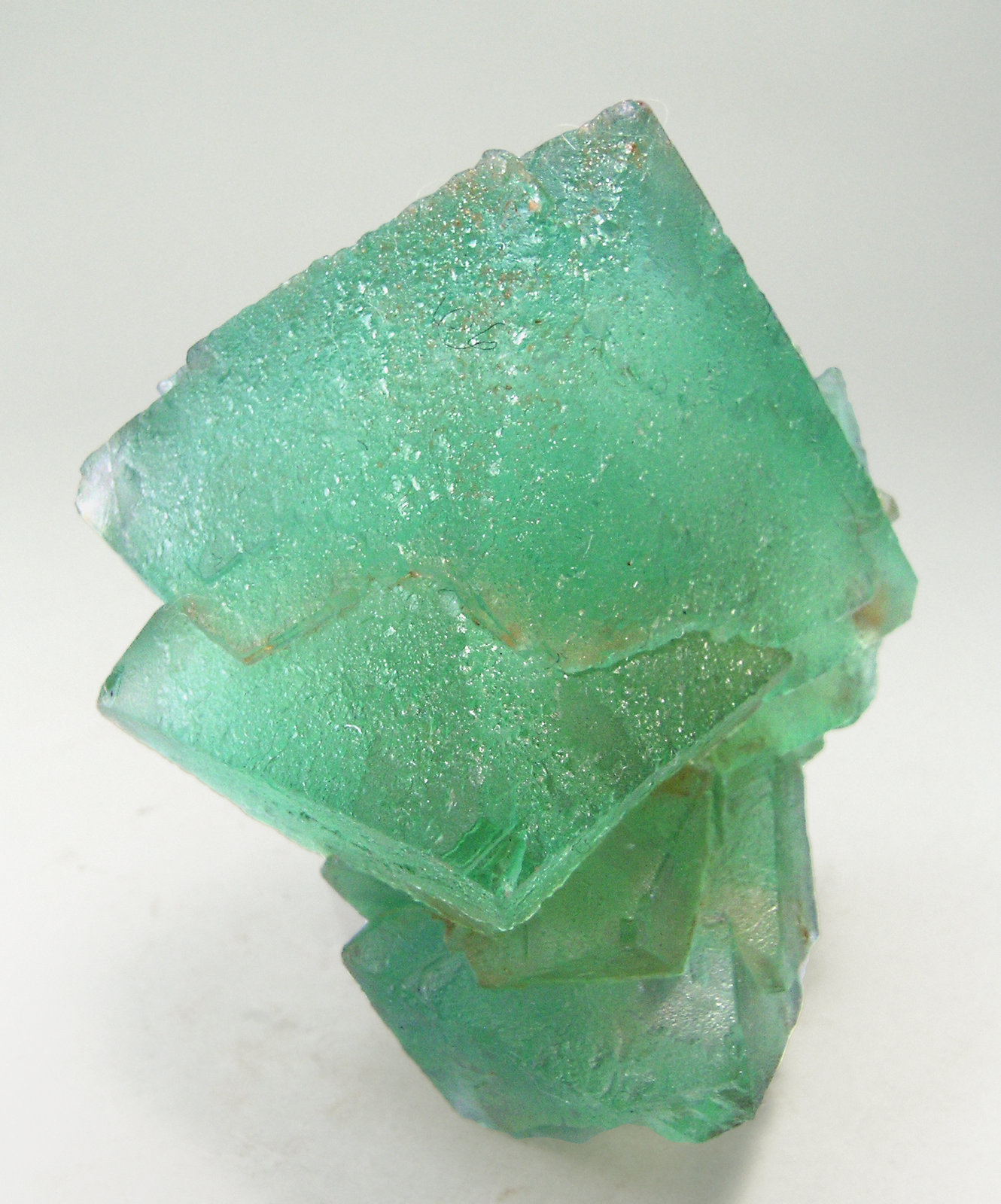 specimens/s_imagesN0/Octahedral_Fluorite-TH97N0.jpg
