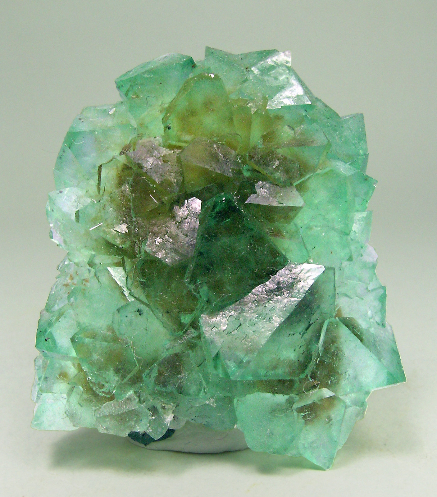 specimens/s_imagesN0/Octahedral_Fluorite-TP86N0.jpg