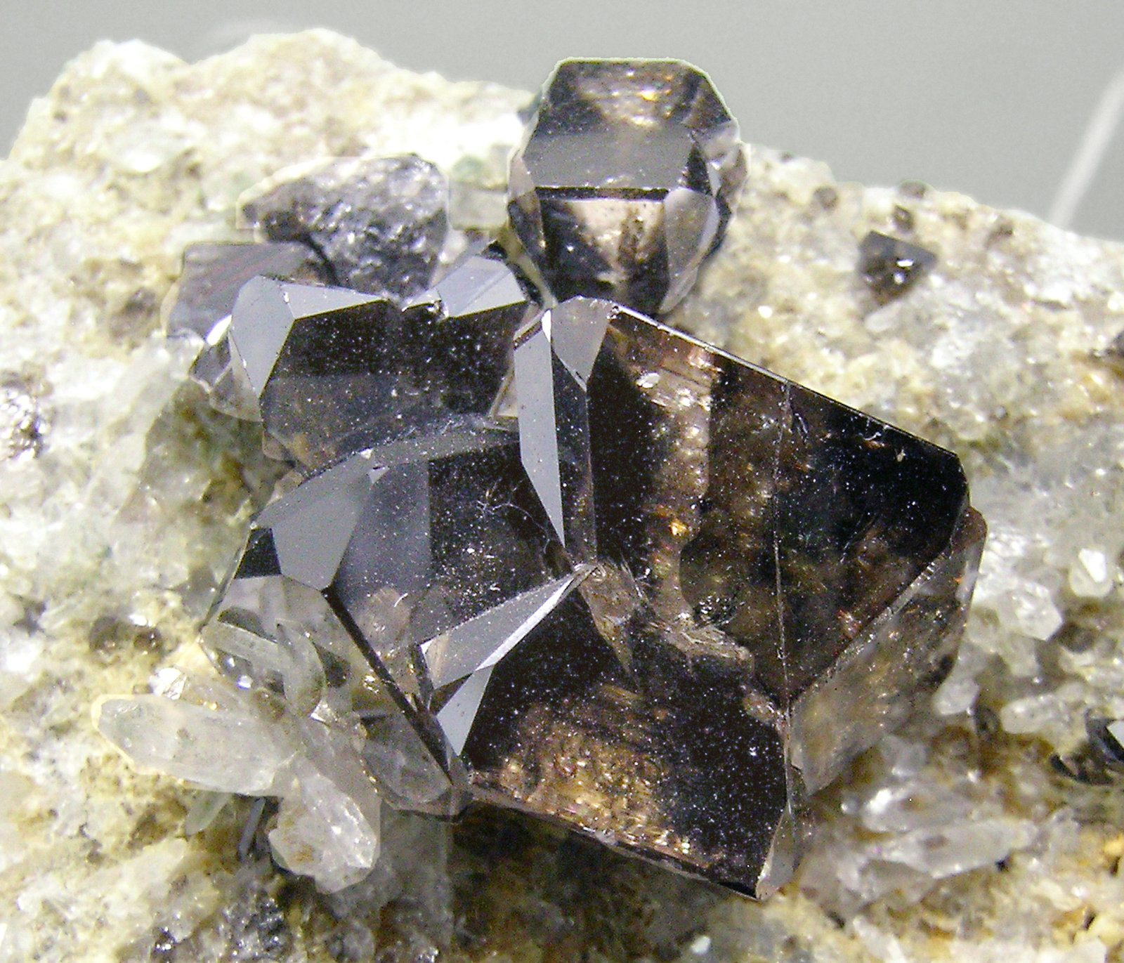 specimens/s_imagesN2/Cassiterite-AM47N2d.jpg