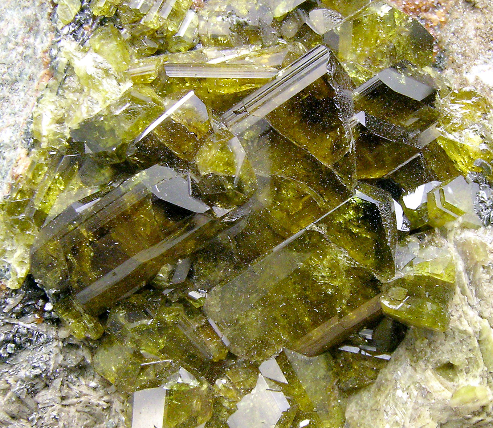 specimens/s_imagesN2/Epidote-AK87N2d.jpg