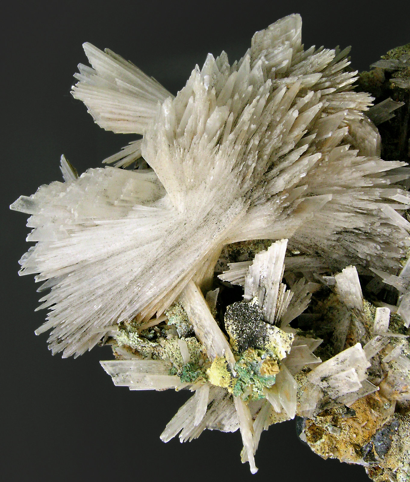 specimens/s_imagesN2/Gypsum-AF16N2d.jpg