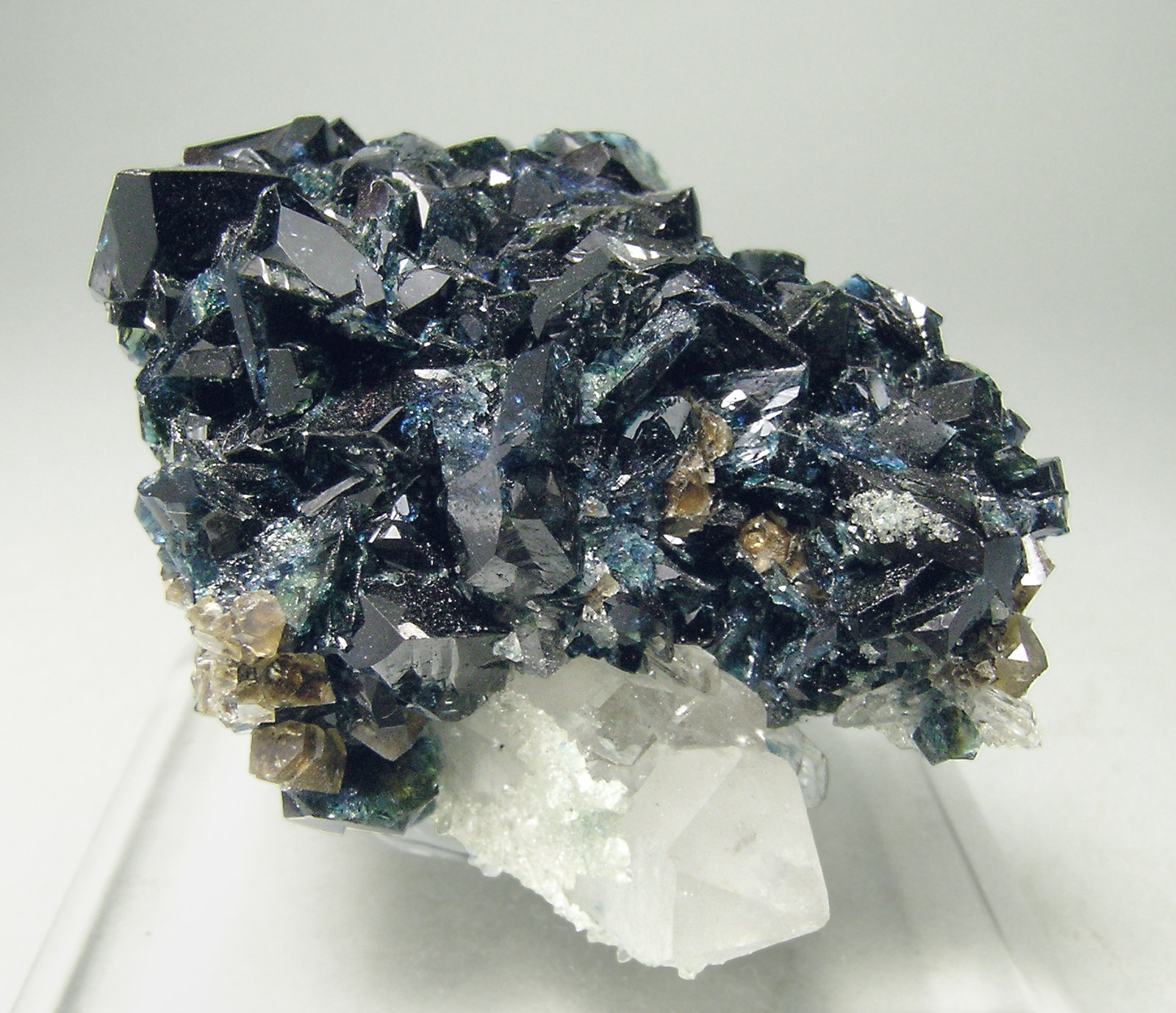 specimens/s_imagesN2/Lazulite-AJ76N2f.jpg
