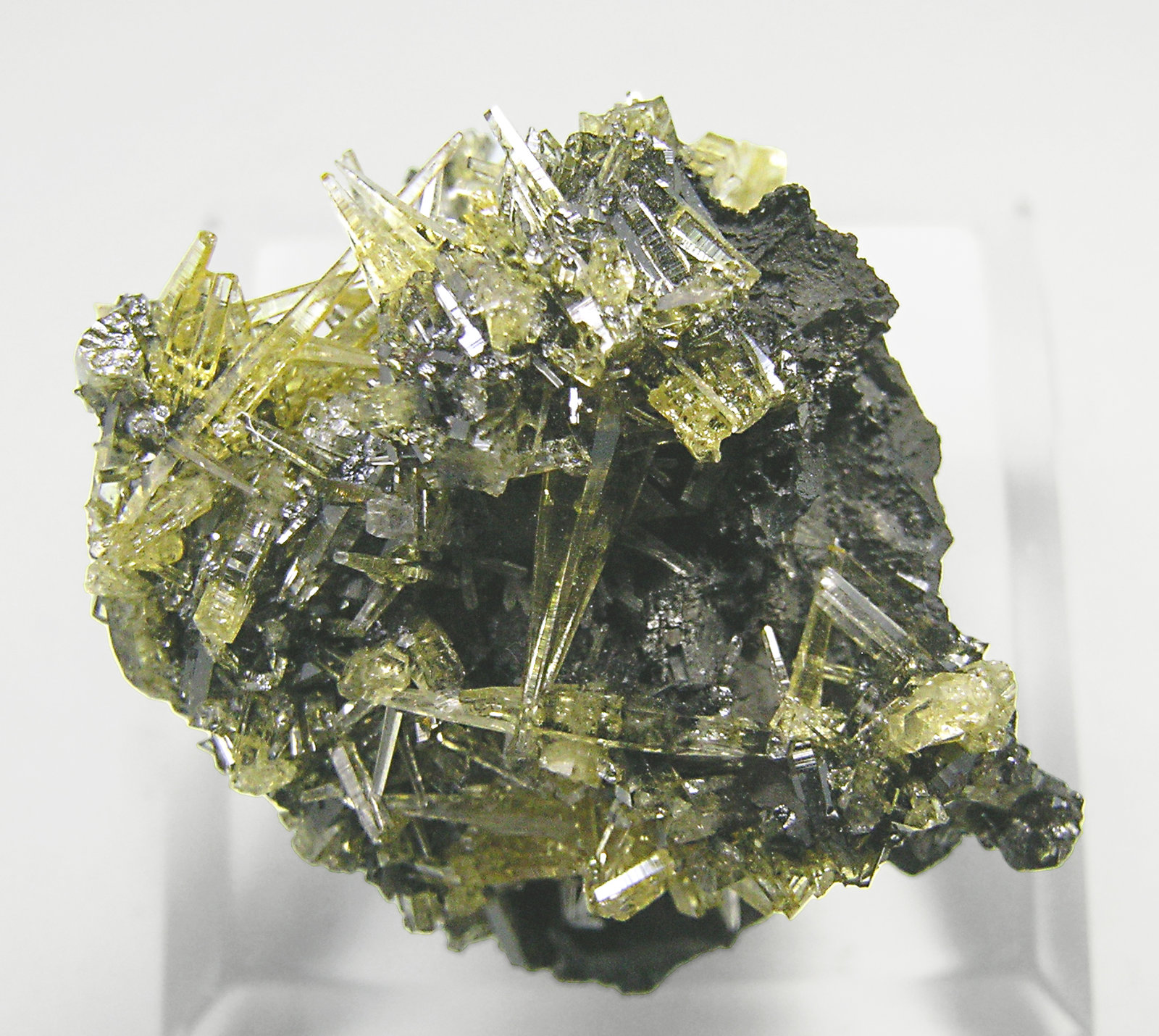 specimens/s_imagesN2/Mimetite-AZ96N2t.jpg