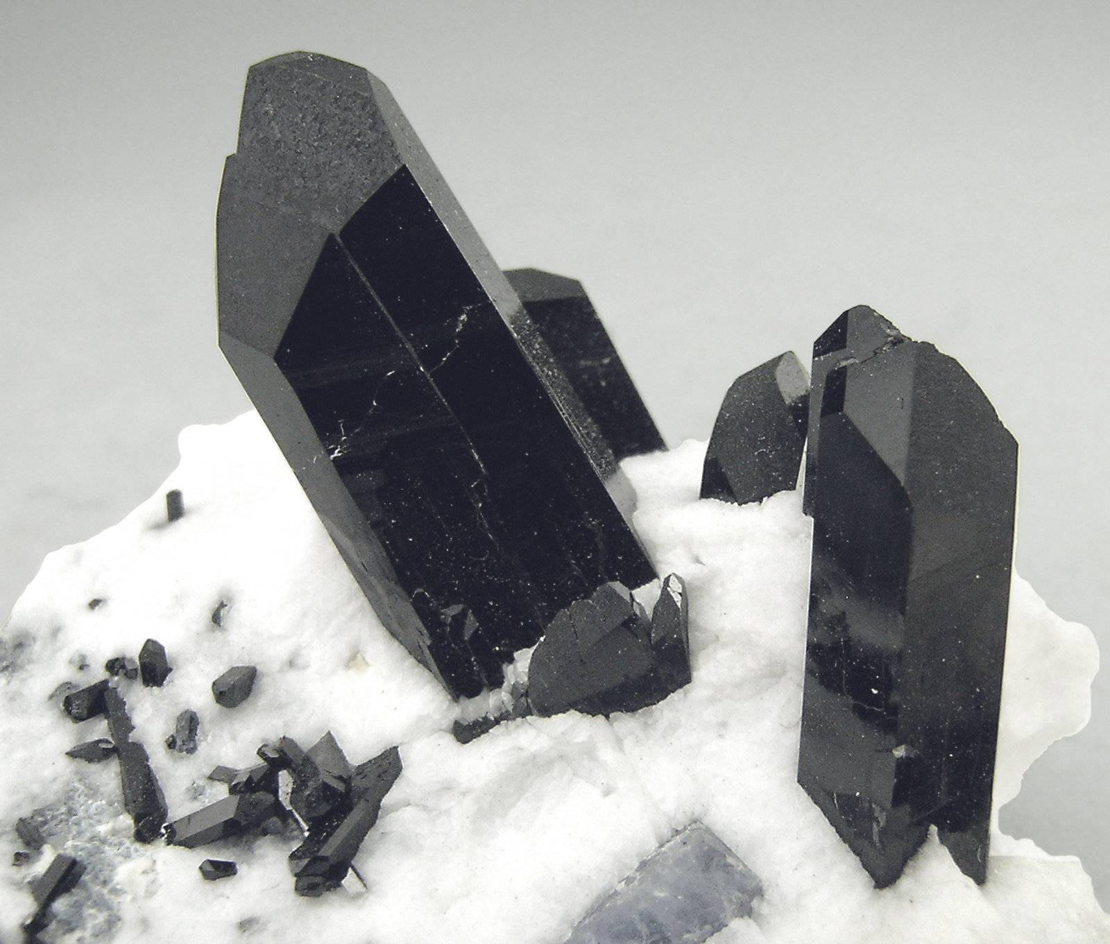 specimens/s_imagesN2/Neptunite-AY87N2d.jpg