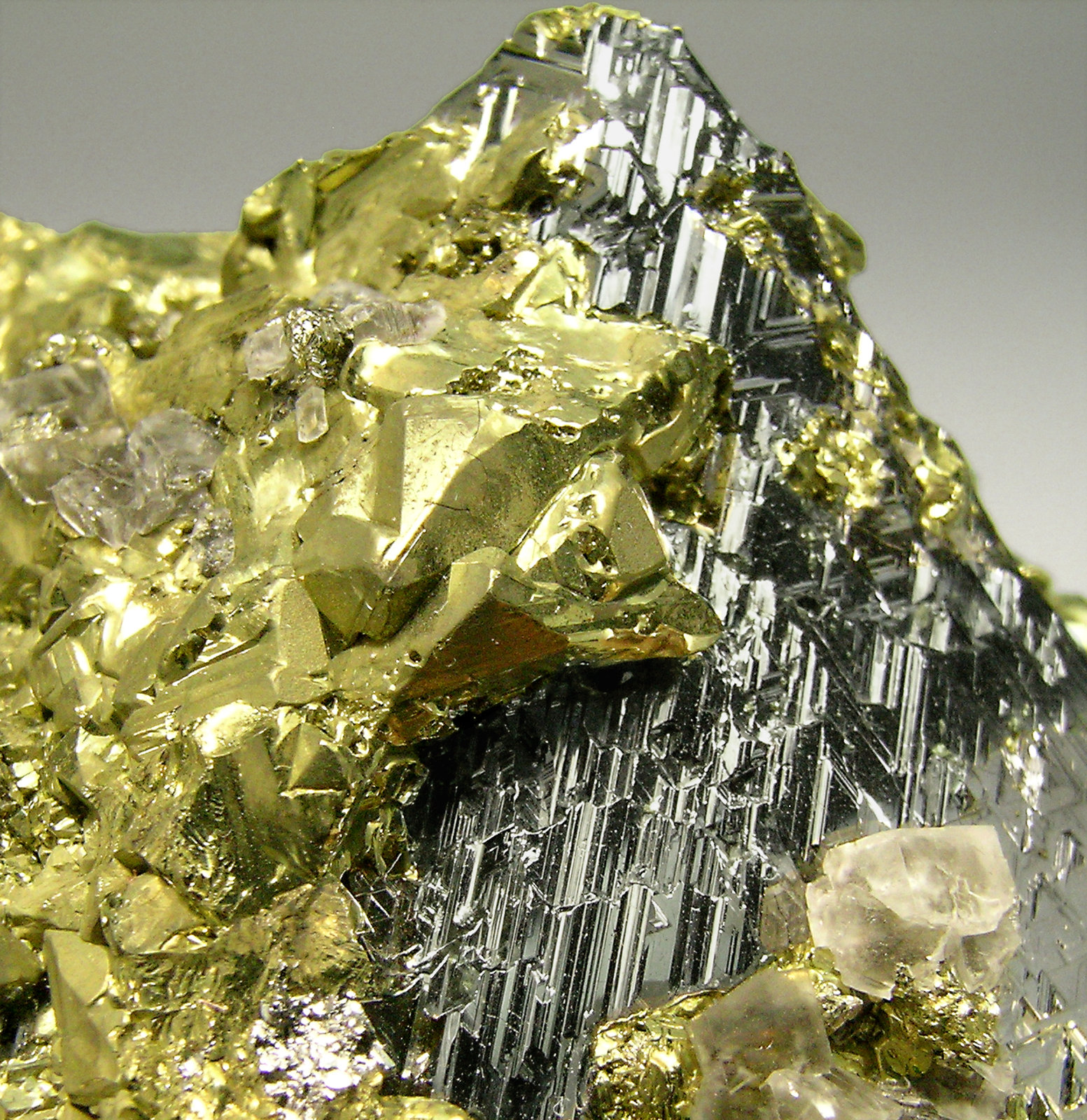 specimens/s_imagesN4/Carrollite-AT46N4d.jpg
