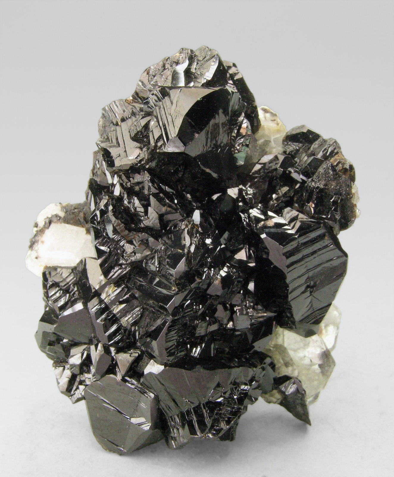 specimens/s_imagesN4/Cassiterite-AA90N4.jpg