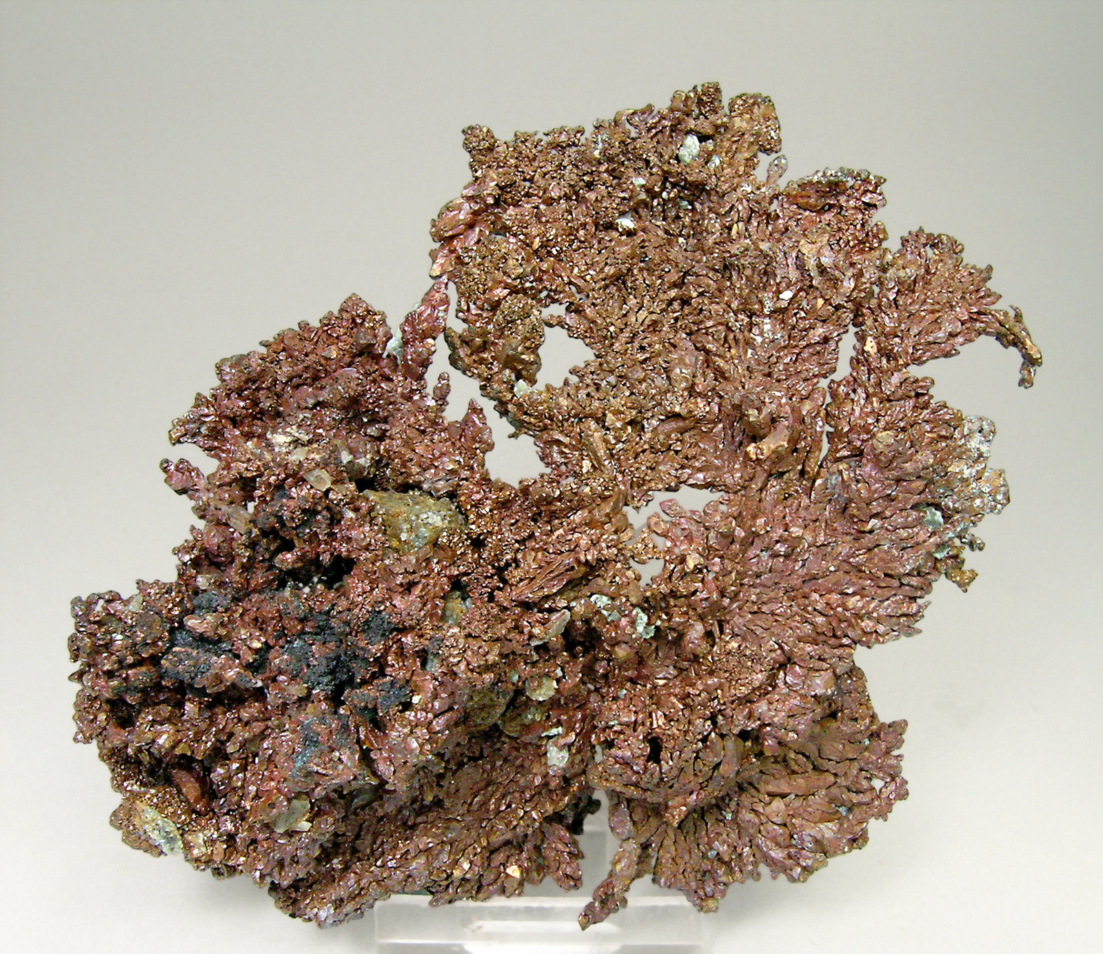 specimens/s_imagesN4/Copper-ER37N4r.jpg