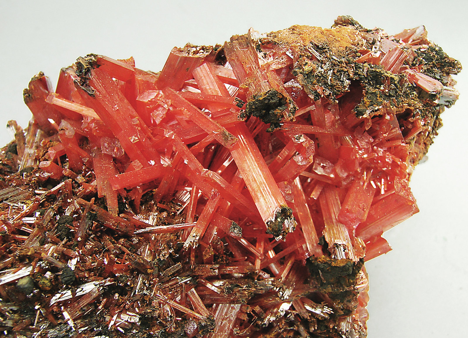 specimens/s_imagesN4/Crocoite-FK27N4d.jpg