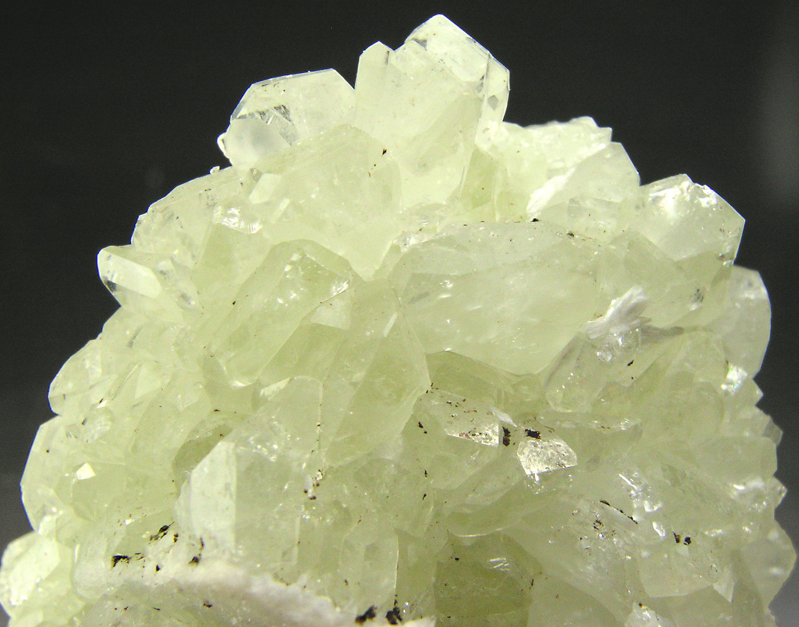 specimens/s_imagesN4/Datolite-RB64N4d.jpg