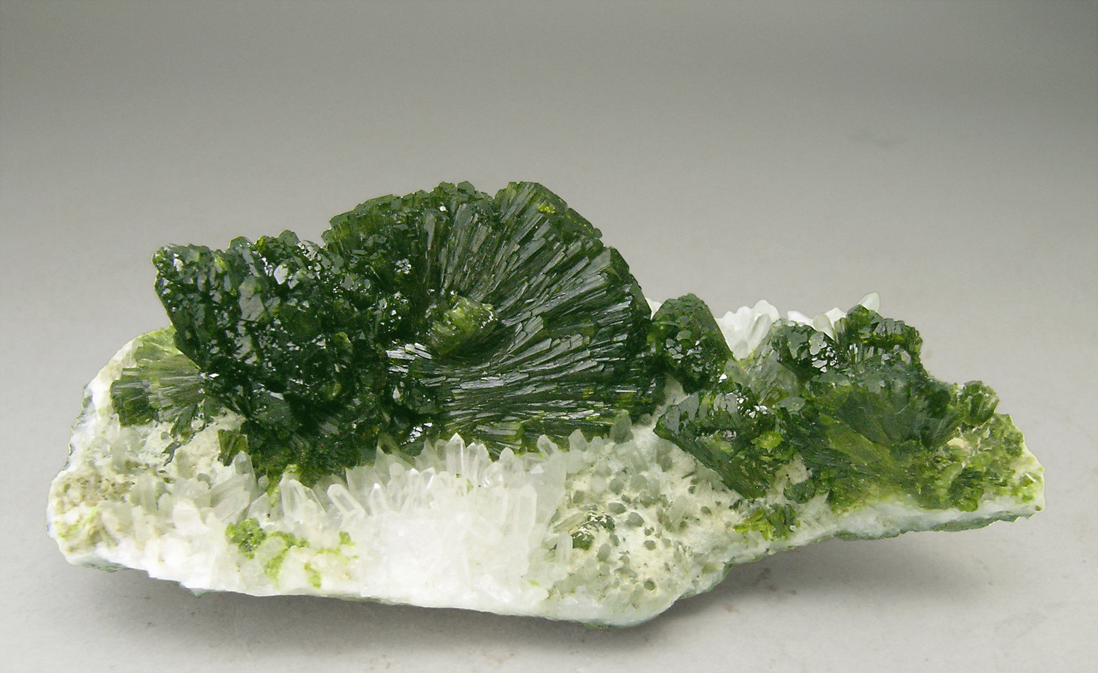 specimens/s_imagesN4/Epidote-AR16N4f.jpg