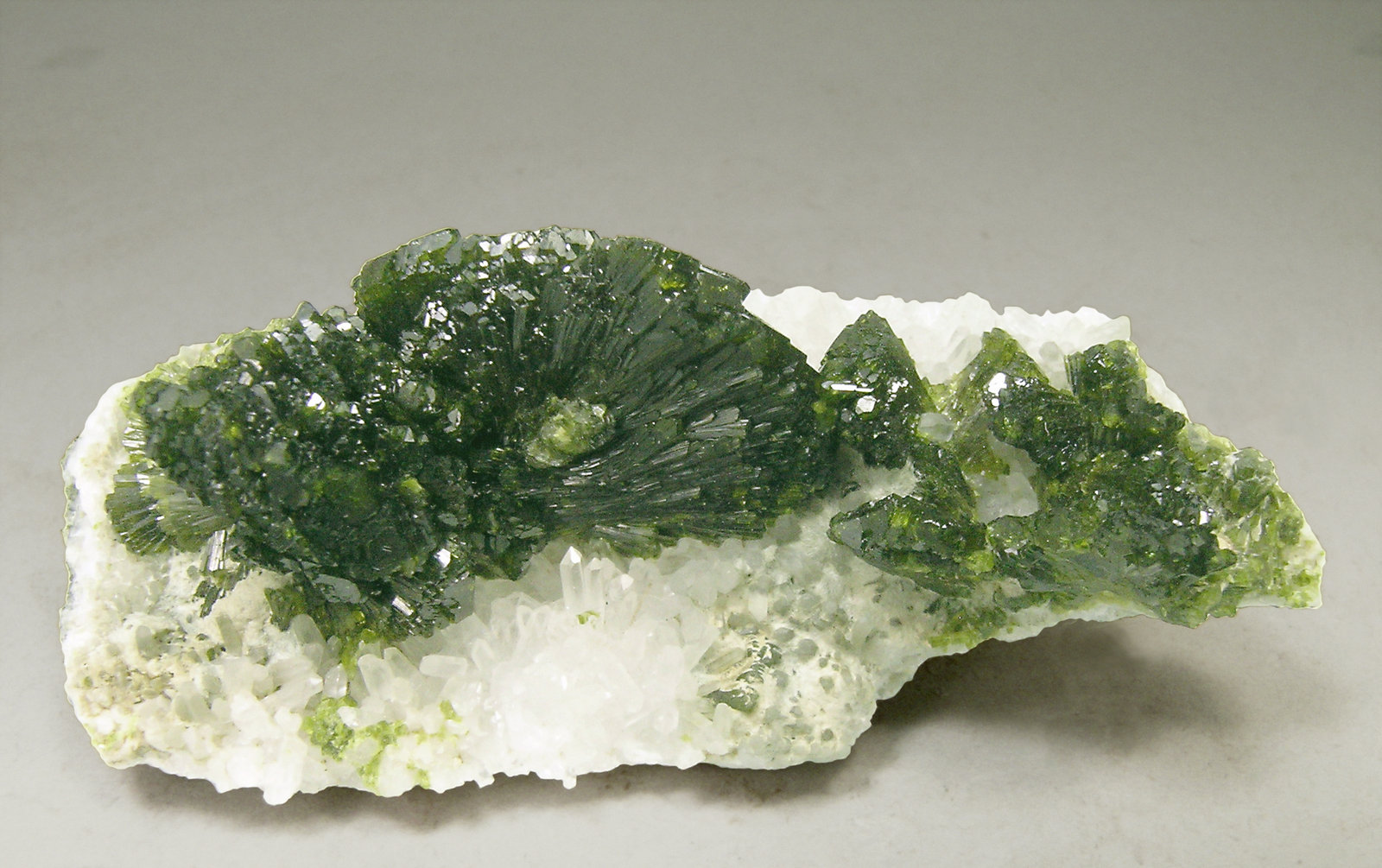 specimens/s_imagesN4/Epidote-AR16N4t.jpg