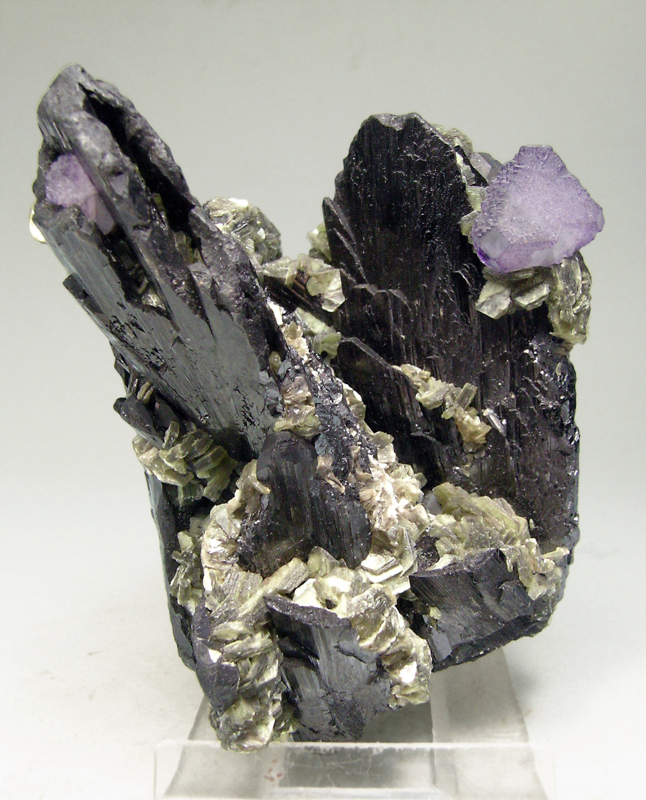 specimens/s_imagesN4/Ferberite-AL76N4f.jpg