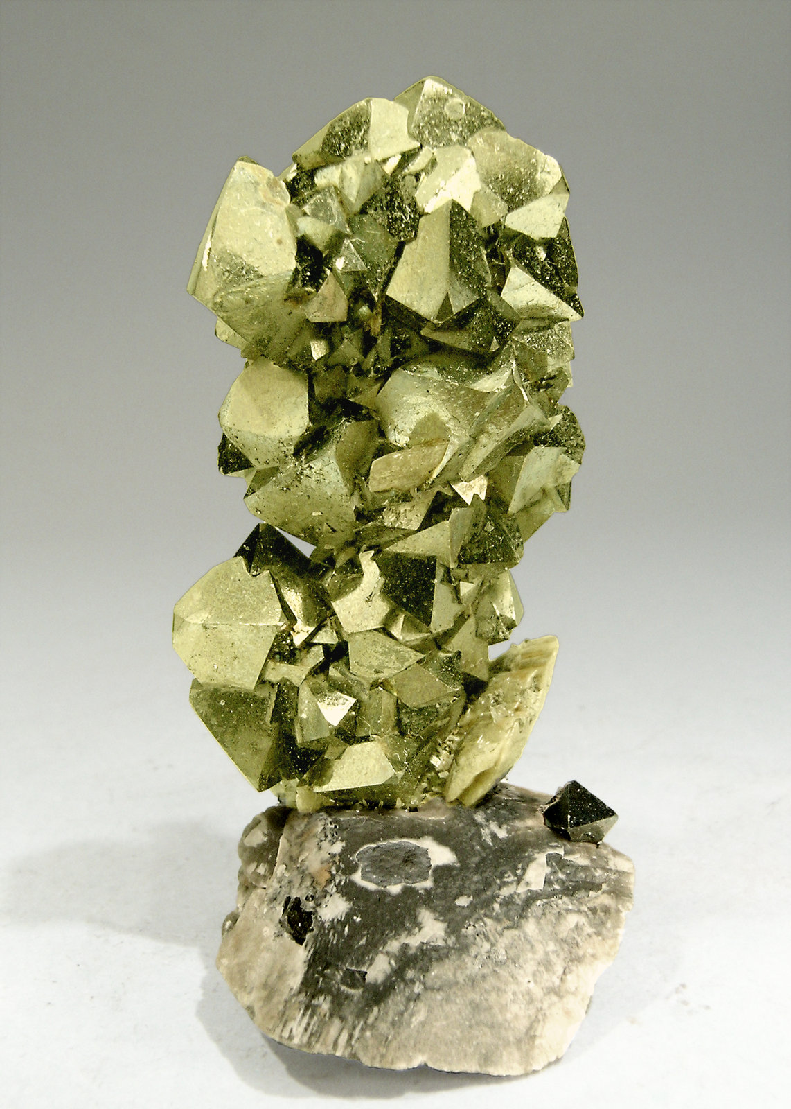 specimens/s_imagesN4/Pyrite-AE36N4.jpg