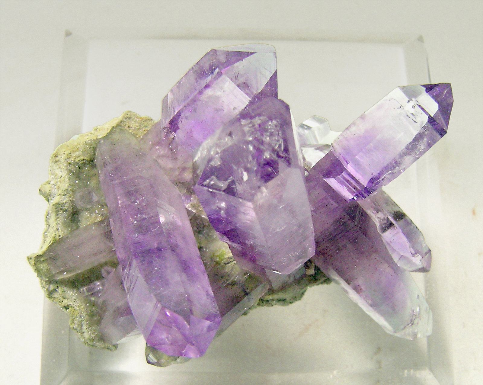 specimens/s_imagesN4/Quartz_Amethyst-HA7N4t.jpg
