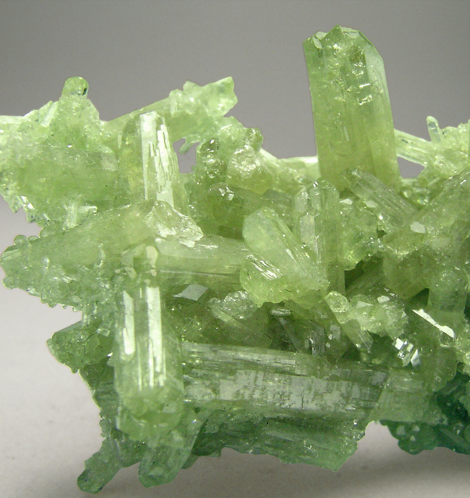 specimens/s_imagesN4/Vesuvianite-AB89N4d.jpg