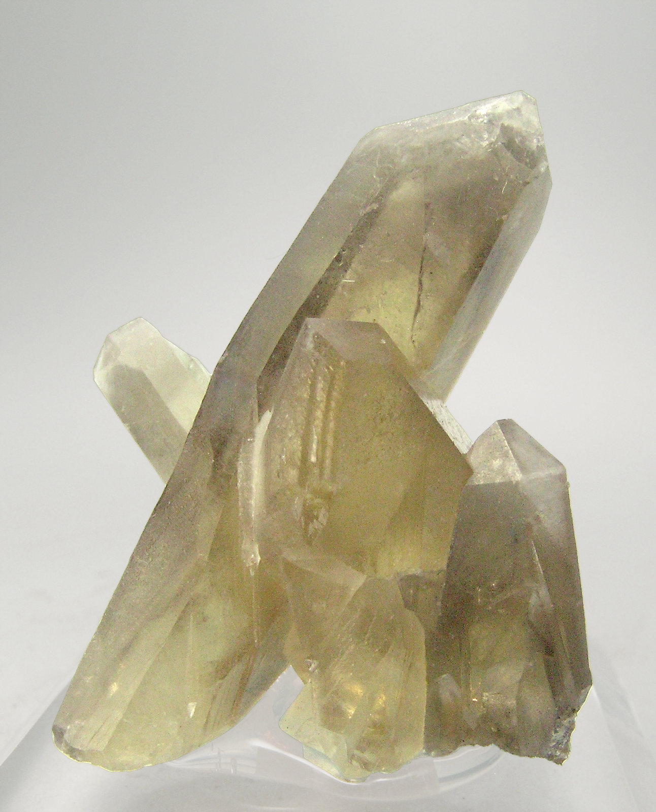 specimens/s_imagesN5/Citrine_Quartz-NM58N5.jpg