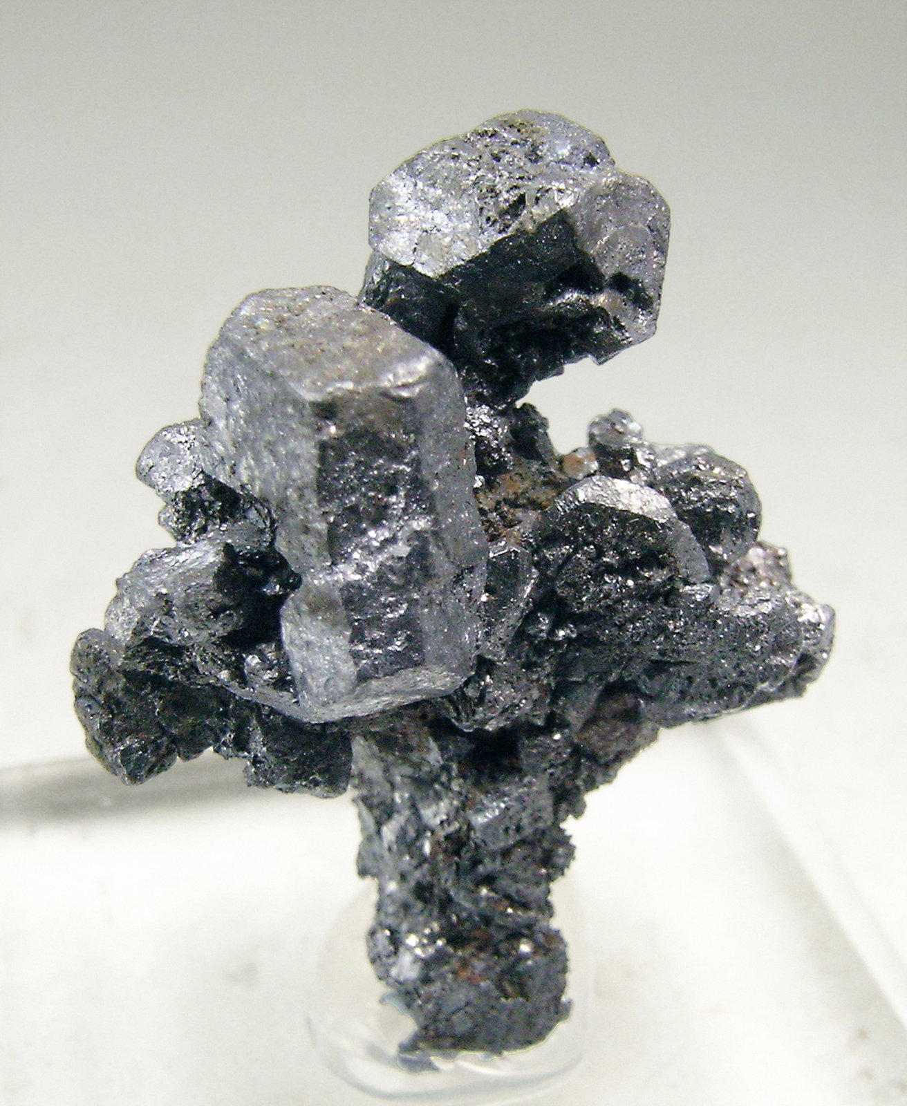 specimens/s_imagesN6/Acanthite-MT47N6f.jpg