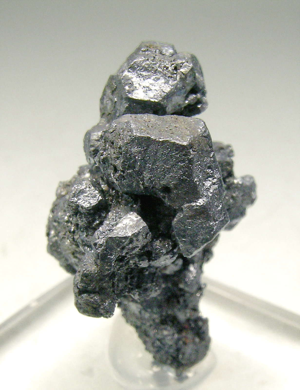 specimens/s_imagesN6/Acanthite-MT47N6s.jpg