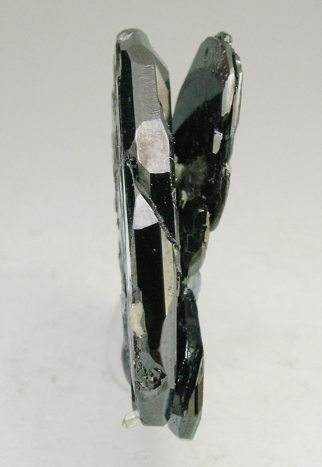 specimens/s_imagesN6/Hematite-AH67N6t.jpg