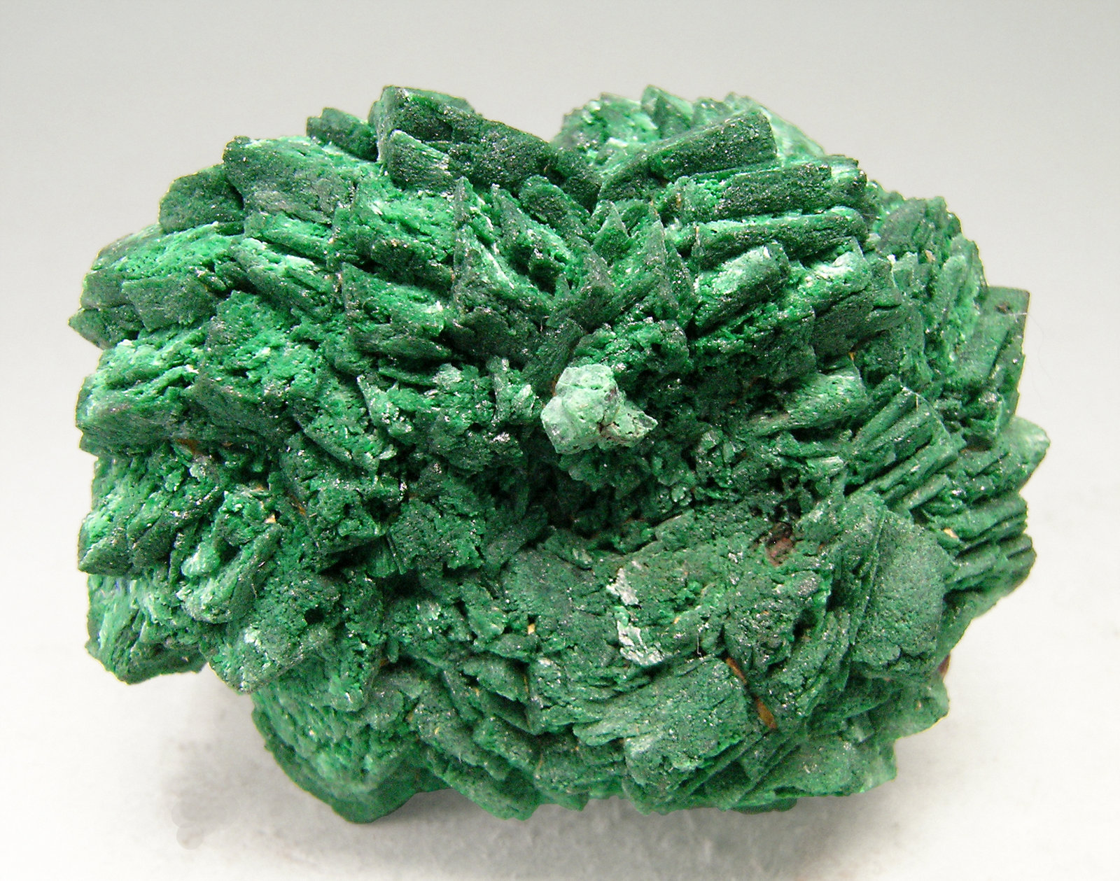 specimens/s_imagesN6/Malachite_after_Azurite-TA14N6r.jpg