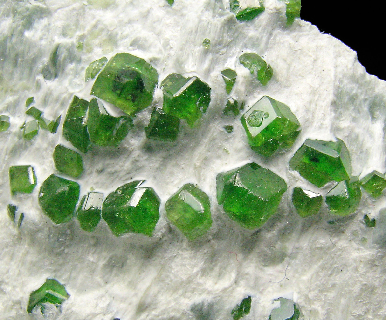 specimens/s_imagesN8/Andradite_Demantoid-TR50N8d.jpg