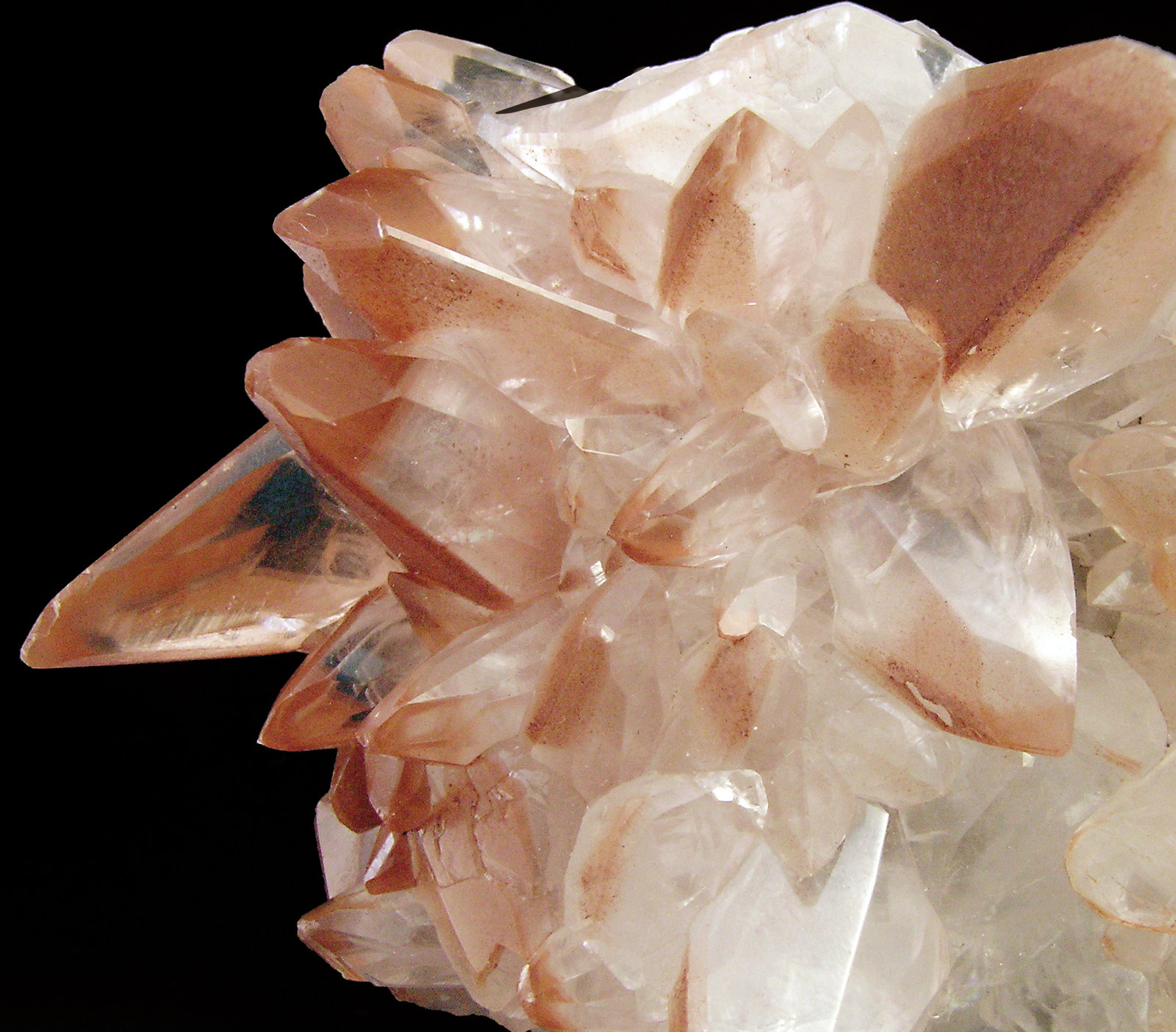 specimens/s_imagesN8/Calcite-AF99N8d.jpg
