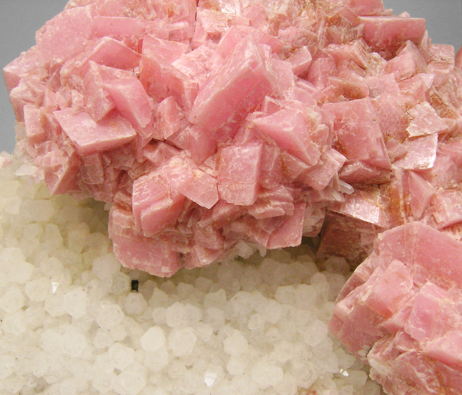 specimens/s_imagesN8/Rhodochrosite-ET88N8d.jpg
