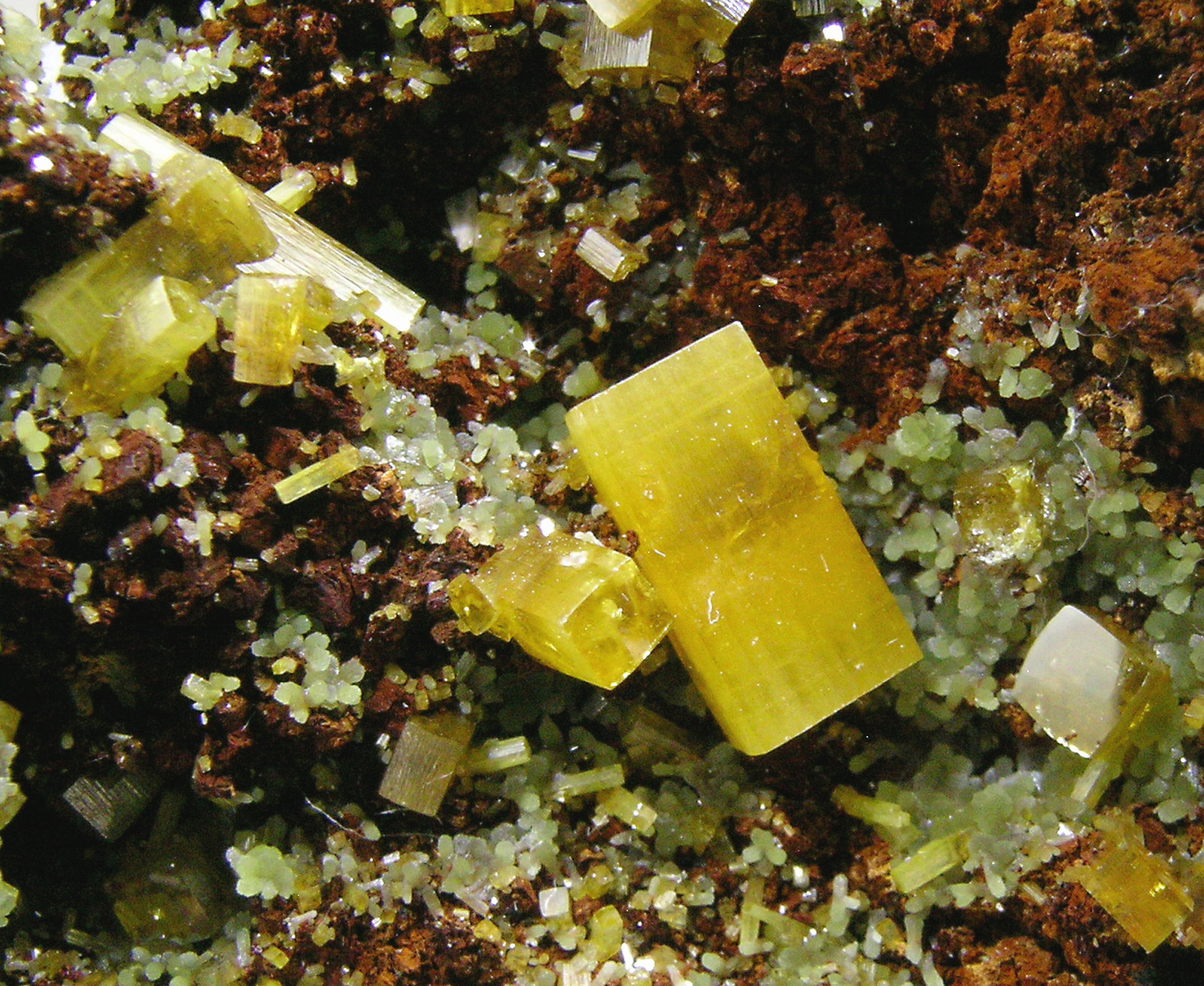 specimens/s_imagesN8/Wulfenite-TR76N8d.jpg