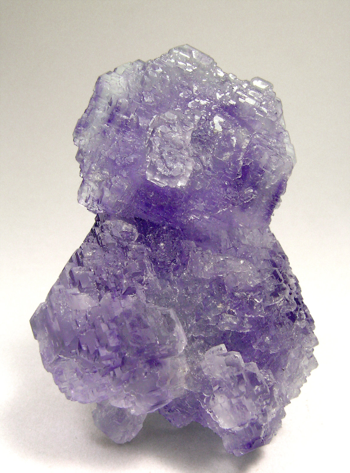 specimens/s_imagesN9/Fluorite-TX17N9f.jpg