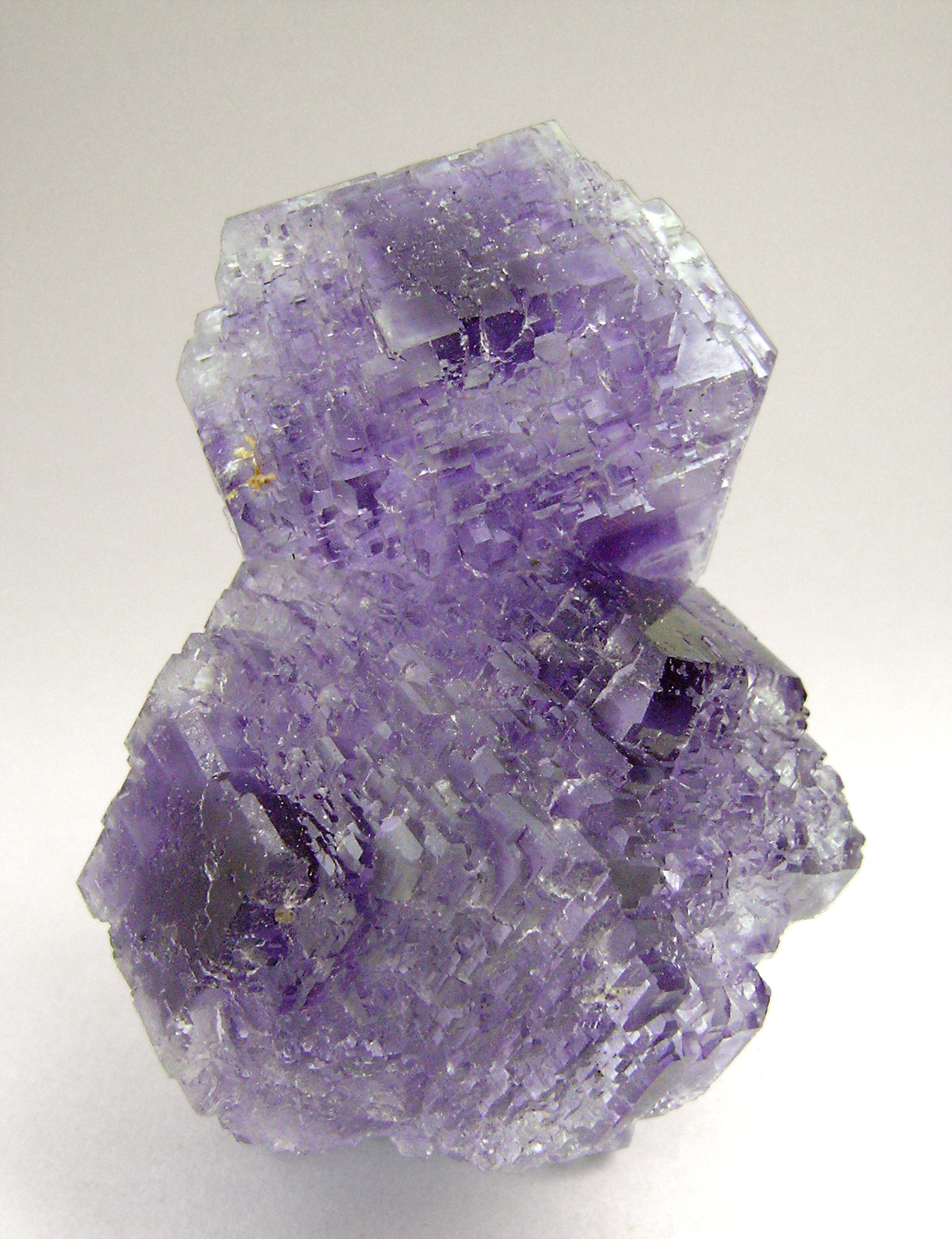 specimens/s_imagesN9/Fluorite-TX17N9r.jpg