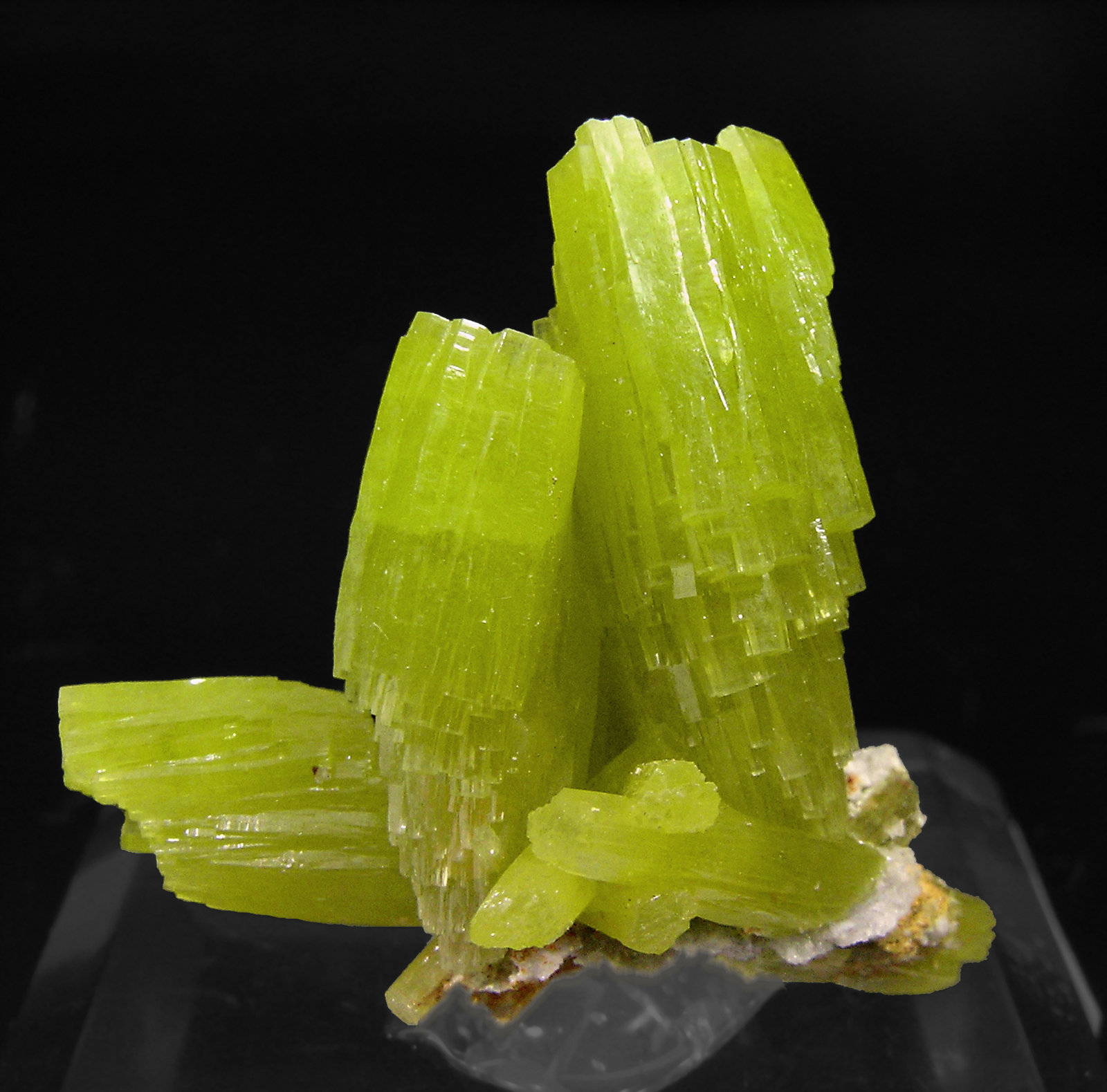 specimens/s_imagesN9/Pyromorphite-TE57N9f.jpg