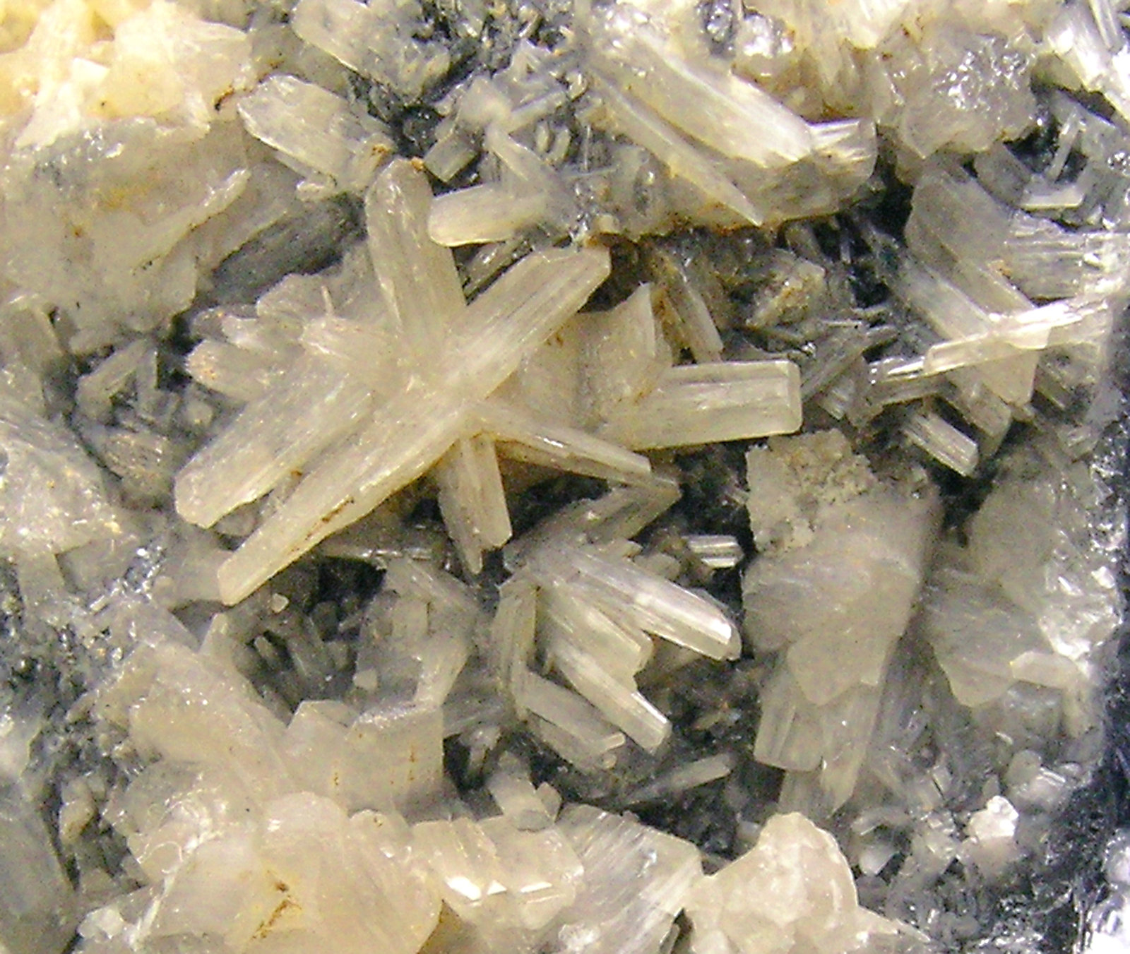 specimens/s_imagesP1/Cerussite-RB63P1d.jpg