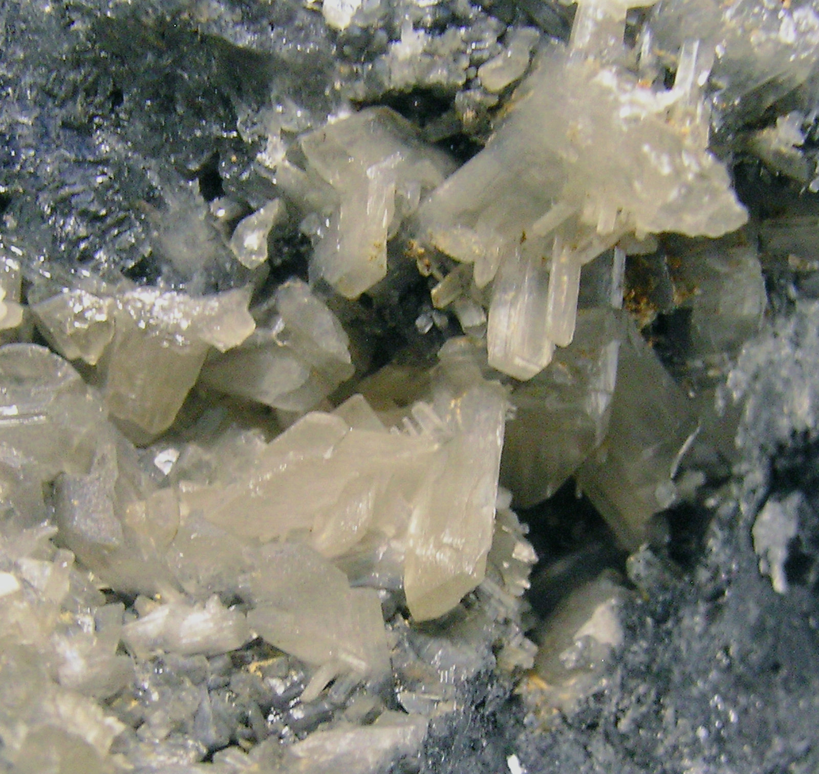 specimens/s_imagesP1/Cerussite-RC62P1d.jpg