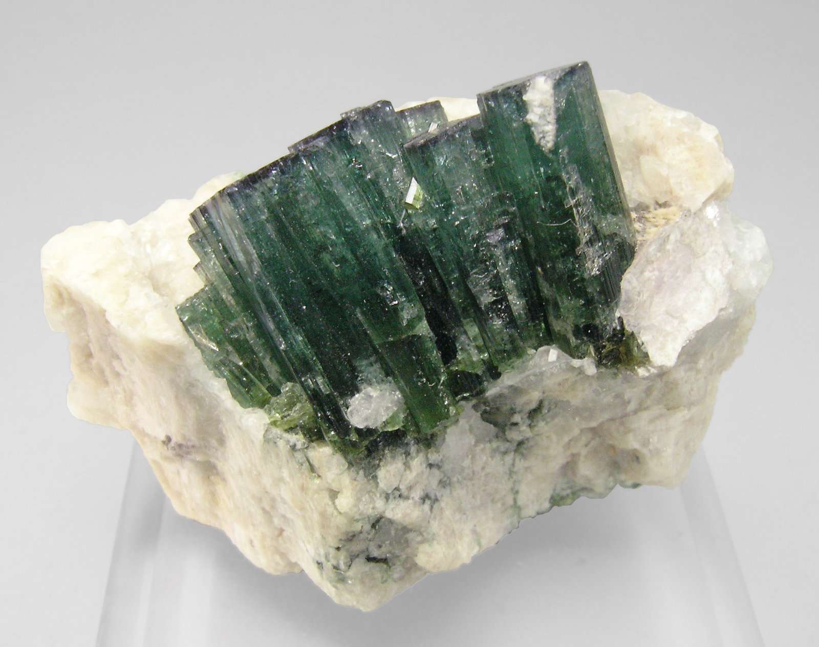 specimens/s_imagesP1/Elbaite-AC86P1f.jpg