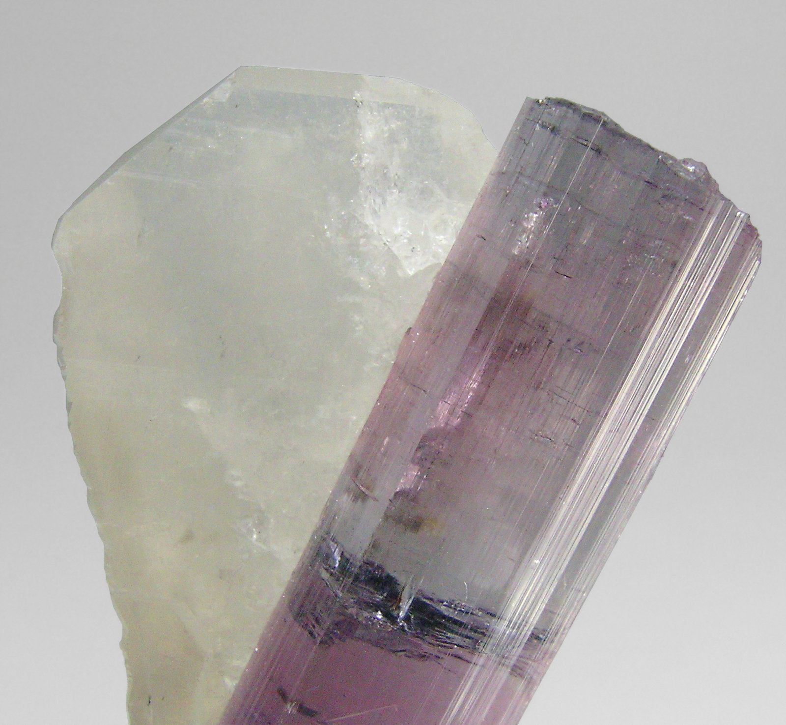 specimens/s_imagesP1/Elbaite_rubellite-AH92P1b.jpg