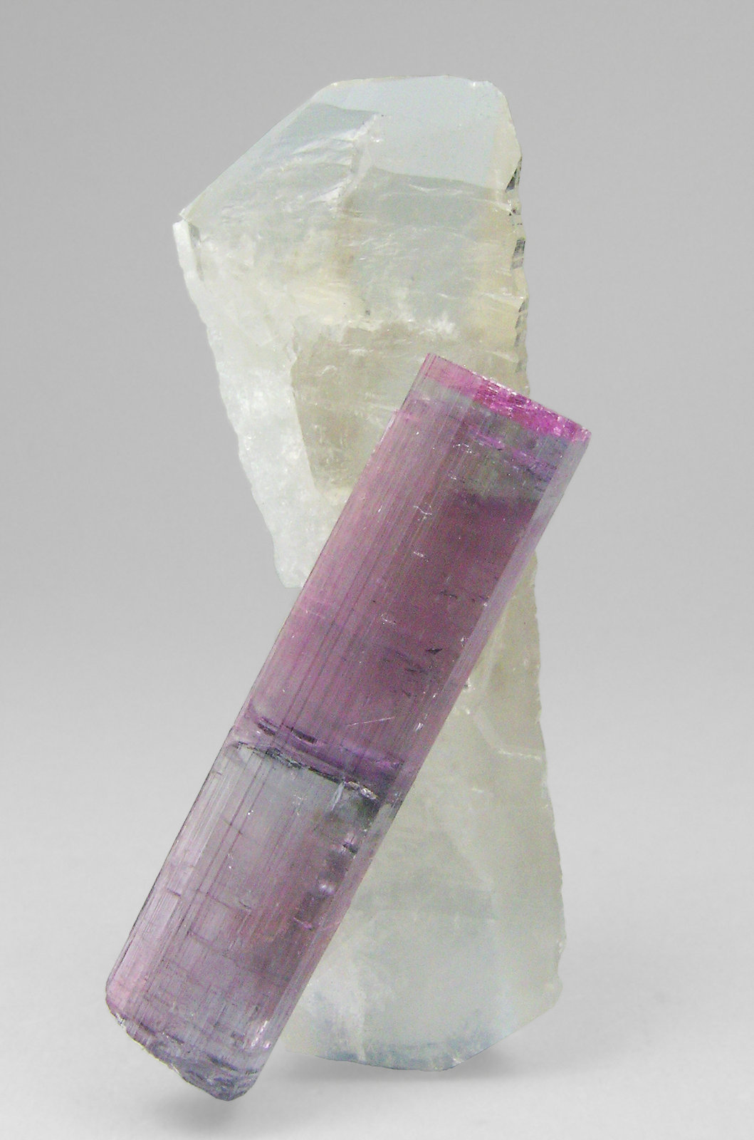 specimens/s_imagesP1/Elbaite_rubellite-AH92P1f.jpg