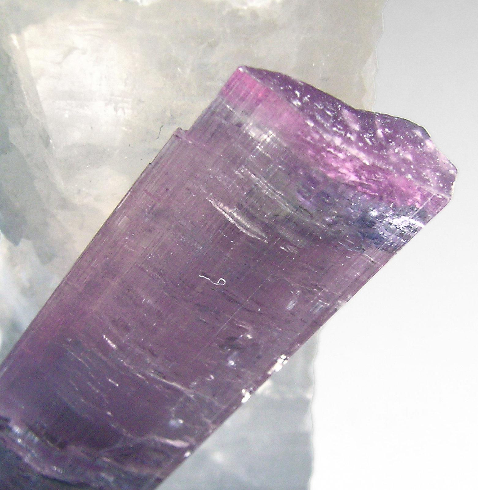 specimens/s_imagesP1/Elbaite_rubellite-AH92P1t1.jpg