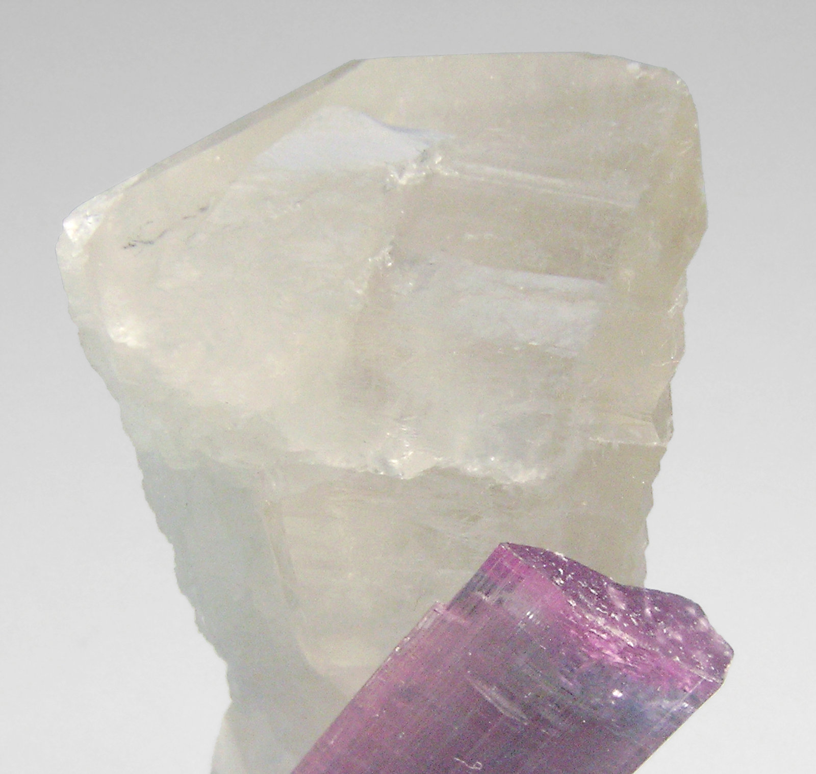 specimens/s_imagesP1/Elbaite_rubellite-AH92P1t2.jpg